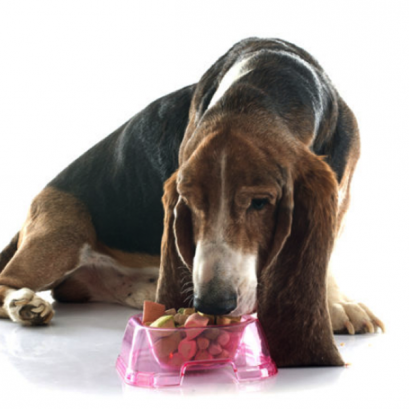 สูตรอาหารตามช่วงอายุ (Nutrition)